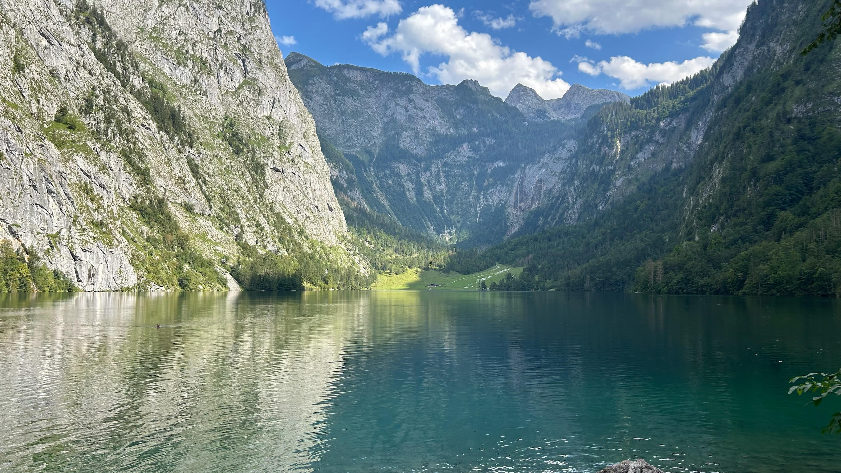 Obersee